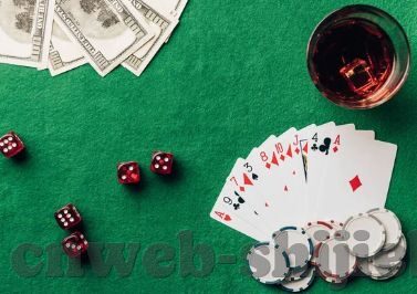 世界杯竞猜公众号-世界杯竞猜公众号，一场数字时代的足球盛宴
